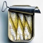 sardines